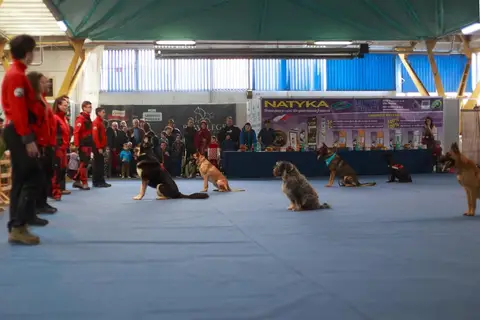 Napoca Dog Show 2016