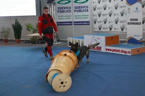 Napoca Dog Show 2016