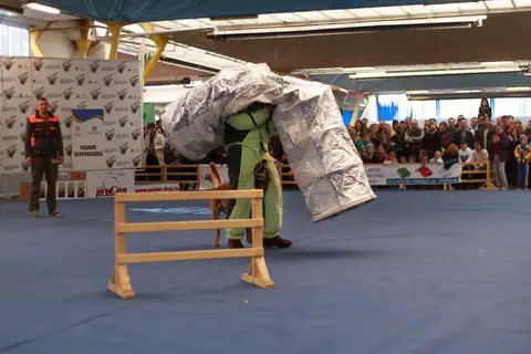 Napoca Dog Show 2016