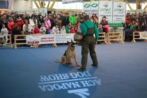 Napoca Dog Show 2016