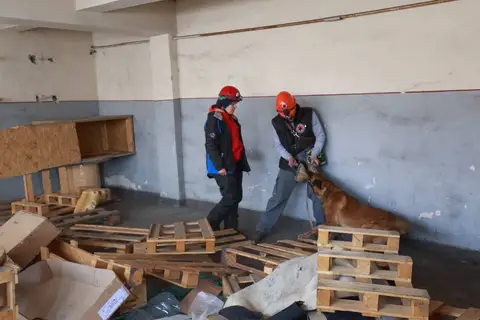 Tabăra națională pentru câini de salvare - CST 2016