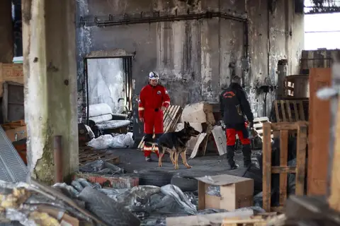 Tabăra națională pentru câini de salvare - CST 2016