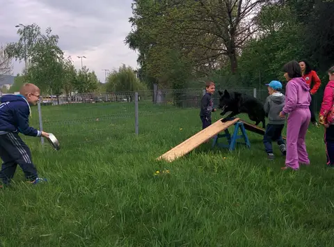 Cora te provoacă să știi mai multe, să fii mai bun! - ediția 2016