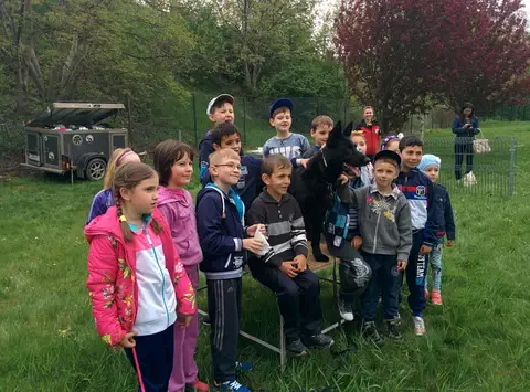 Cora te provoacă să știi mai multe, să fii mai bun! - ediția 2016