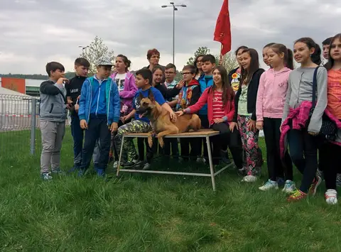Cora te provoacă să știi mai multe, să fii mai bun! - ediția 2016