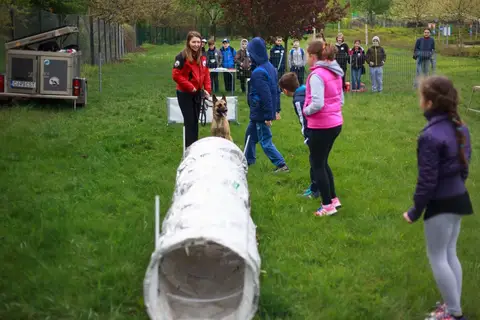 Cora te provoacă să știi mai multe, să fii mai bun! - ediția 2016