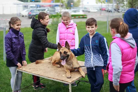 Cora te provoacă să știi mai multe, să fii mai bun! - ediția 2016