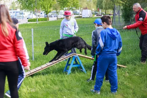 Cora te provoacă să știi mai multe, să fii mai bun! - ediția 2016