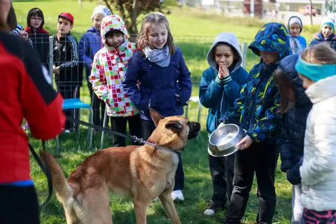 Cora te provoacă să știi mai multe, să fii mai bun! - ediția 2016