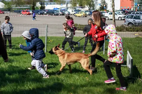 Cora te provoacă să știi mai multe, să fii mai bun! - ediția 2016