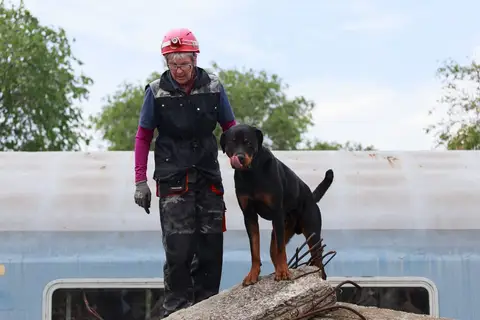 International Training Camp for Search and Rescue Dogs - Jászberény, 2016