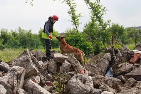 International Training Camp for Search and Rescue Dogs - Jászberény, 2016