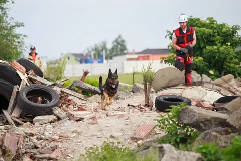 International Training Camp for Search and Rescue Dogs - Jászberény, 2016