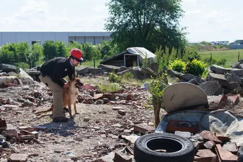 International Training Camp for Search and Rescue Dogs - Jászberény, 2016