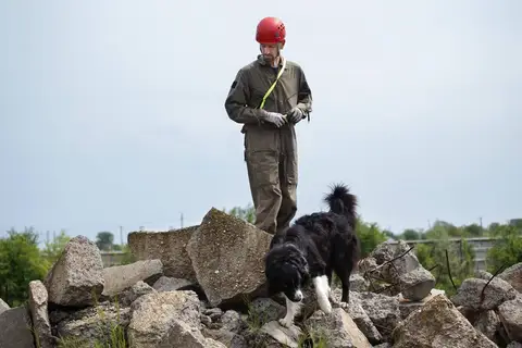 International Training Camp for Search and Rescue Dogs - Jászberény, 2016
