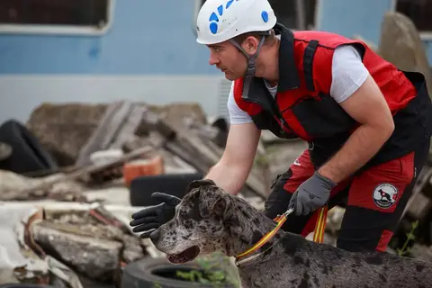 International Training Camp for Search and Rescue Dogs - Jászberény, 2016