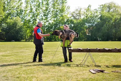 International Training Camp for Search and Rescue Dogs - Jászberény, 2016