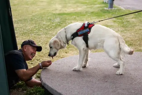 International Training Camp for Search and Rescue Dogs - Jászberény, 2016