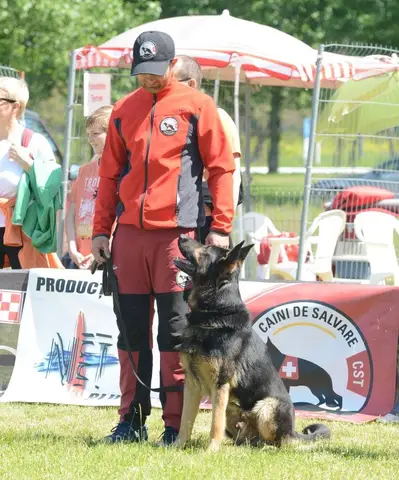 Hiperparada Animalelor at Cora – 8th Edition