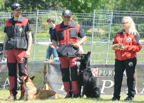 Hiperparada Animalelor at Cora – 8th Edition