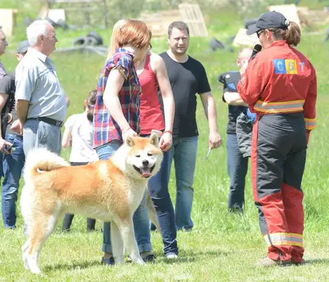 Hiperparada Animalelor at Cora – 8th Edition