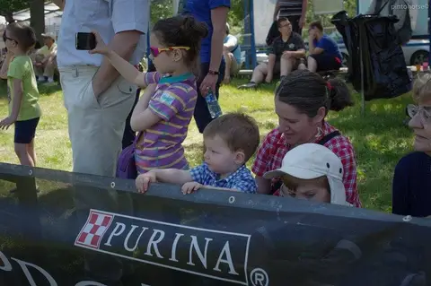 Hiperparada Animalelor at Cora – 8th Edition
