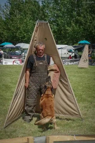 Hiperparada Animalelor at Cora – 8th Edition
