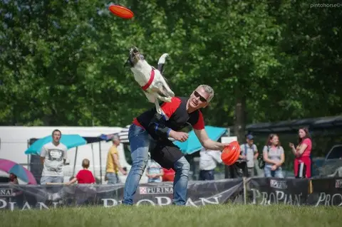 Hiperparada Animalelor at Cora – 8th Edition