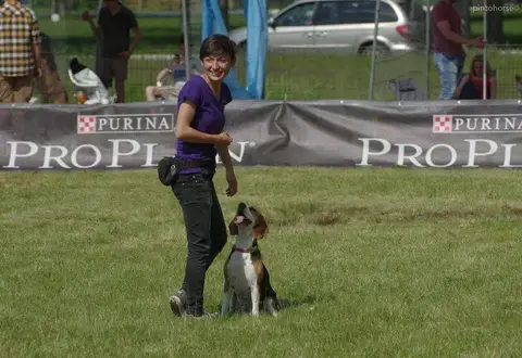 Hiperparada Animalelor at Cora – 8th Edition
