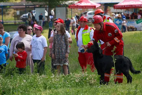 Hiperparada Animalelor at Cora – 8th Edition