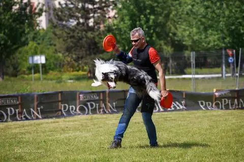 Hiperparada Animalelor at Cora – 8th Edition