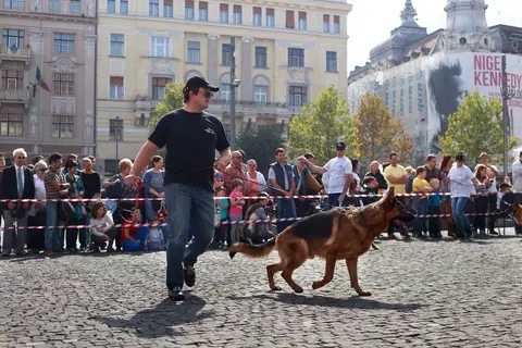 Herbstfest 2016
