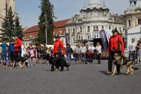 Herbstfest 2016