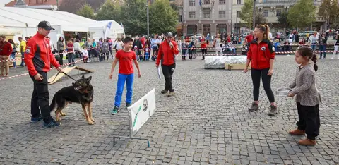 Herbstfest 2016