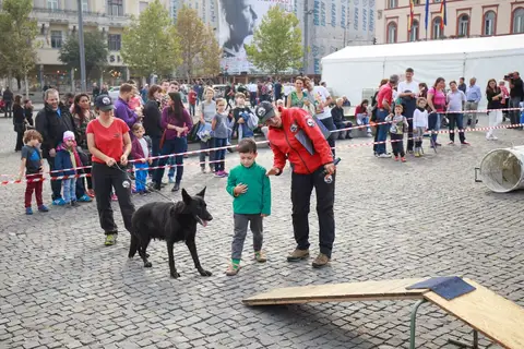 Herbstfest 2016
