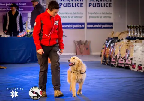 Napoca Dog Show 2017