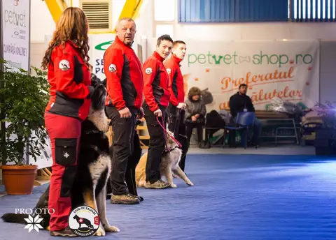 Napoca Dog Show 2017