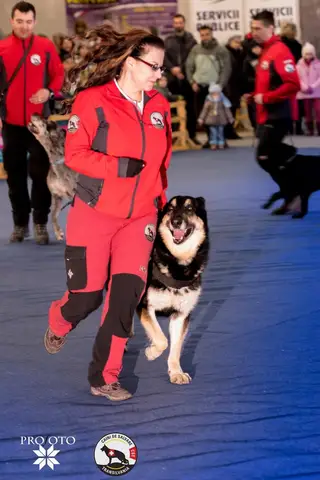 Napoca Dog Show 2017