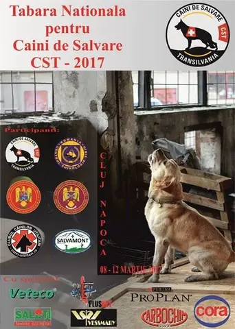 CST National Search and Rescue Dog Camp – 2017