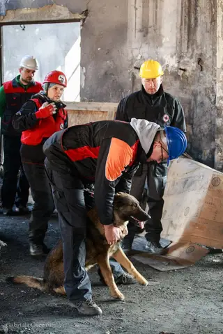 CST National Search and Rescue Dog Camp – 2017