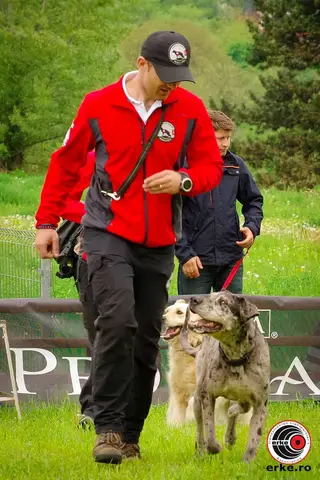 Hiperparada Animalelor at Cora – 9th Edition