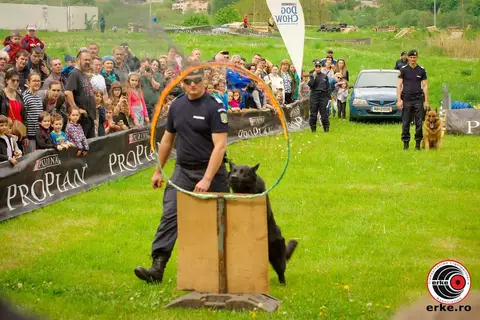 Hiperparada Animalelor at Cora – 9th Edition