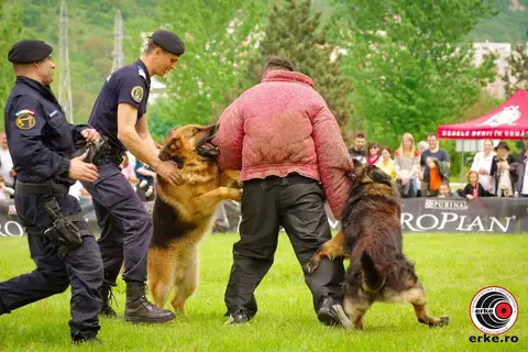 Hiperparada Animalelor at Cora – 9th Edition