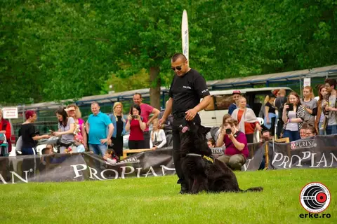 Hiperparada Animalelor at Cora – 9th Edition