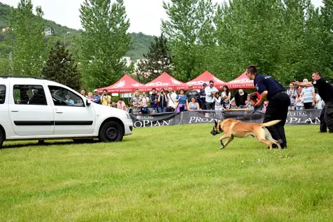 Hiperparada Animalelor at Cora – 9th Edition