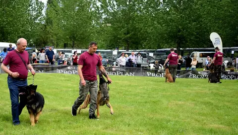 Hiperparada Animalelor at Cora – 9th Edition
