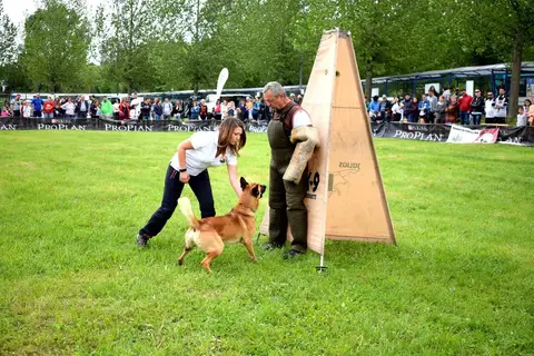 Hiperparada Animalelor at Cora – 9th Edition