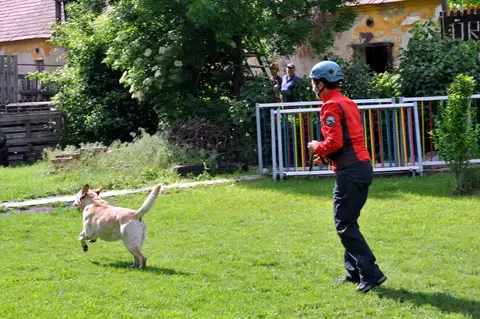 Tabăra internațională pentru câini de salvare 2017 - Ebreichsdorf