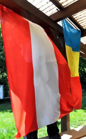 Tabăra internațională pentru câini de salvare 2017 - Ebreichsdorf