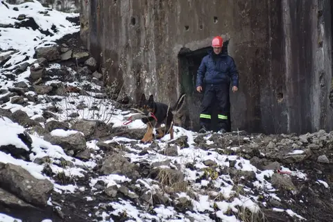 CST National Search and Rescue Dog Camp 2018